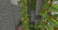Image via Minecraft